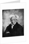 Nihilism: Arthur Schopenhauer, German philosopher by Anonymous