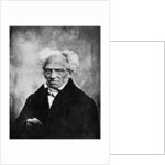 Nihilism: Arthur Schopenhauer, German philosopher by Anonymous