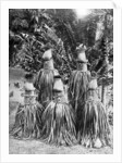Masks possessing magical qualities, Bismarck Archipelago, Papua New Guinea by Strecker and Schroder