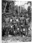 Women in festival attire, Melanesia by George Brown