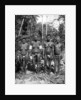 Women in festival attire, Melanesia by George Brown
