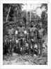 Women in festival attire, Melanesia by George Brown