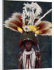 A Roro chief dressed for a ceremonial dance, Papua New Guinea by Charles Gabriel Seligman