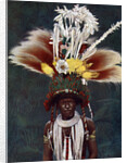 A Roro chief dressed for a ceremonial dance, Papua New Guinea by Charles Gabriel Seligman