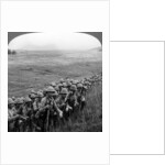 Gallipoli Campaign, World War I by Realistic Travels Publishers