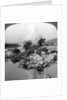 British soldiers in action at the Crozat Canal, France, World War I by Realistic Travels Publishers