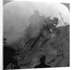 Trench warfare, Bourlon Wood, France, World War I by Realistic Travels Publishers