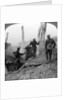 German soldiers surrendering, Bullecourt, France, World War I by Realistic Travels Publishers