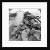 Machine gun nest, Poelcappelle, Belgium, World War I by Realistic Travels Publishers