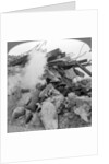 Machine gun nest, Poelcappelle, Belgium, World War I by Realistic Travels Publishers