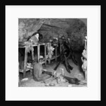 The Labyrinth, Arras, France, World War I by Realistic Travels Publishers