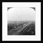 German prisoners of war, Sambre, World War I by Realistic Travels Publishers