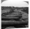Captured German guns, Brussels, Belgium, World War I by Realistic Travels Publishers