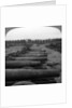 Captured German guns, Brussels, Belgium, World War I by Realistic Travels Publishers