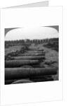 Captured German guns, Brussels, Belgium, World War I by Realistic Travels Publishers