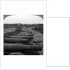 Captured German guns, Brussels, Belgium, World War I by Realistic Travels Publishers