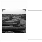 Captured German guns, Brussels, Belgium, World War I by Realistic Travels Publishers