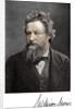 William Morris, 19th-century English artist, writer, socialist and activist by Anonymous