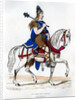 Chief of the Franks by Meunier