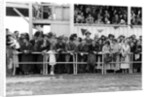 Crowd at the races by Anonymous