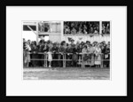 Crowd at the races by Anonymous