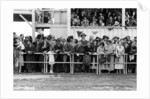 Crowd at the races by Anonymous