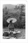 Woman under a parasol having a picnic by Anonymous