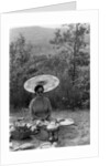 Woman under a parasol having a picnic by Anonymous