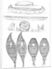 Sioux canoes and Chippewa snowshoes by Myers and Co