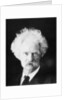 Mark Twain, American novelist, in his later years by Anonymous