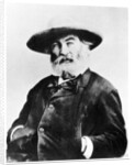 Walt Whitman, American poet by Anonymous