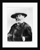 Walt Whitman, American poet by Anonymous