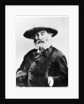 Walt Whitman, American poet by Anonymous