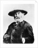 Walt Whitman, American poet by Anonymous