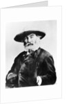 Walt Whitman, American poet by Anonymous