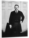 Theodore Roosevelt, 26th President of the United States by Anonymous
