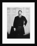 Theodore Roosevelt, 26th President of the United States by Anonymous