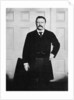 Theodore Roosevelt, 26th President of the United States by Anonymous