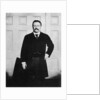Theodore Roosevelt, 26th President of the United States by Anonymous
