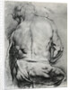 The Back of a Nude Man by Anonymous