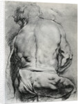 The Back of a Nude Man by Anonymous
