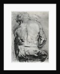 The Back of a Nude Man by Anonymous
