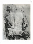 The Back of a Nude Man by Anonymous