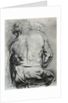 The Back of a Nude Man by Anonymous