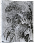 Head of a Youth by Anonymous