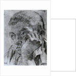 Head of a Youth by Anonymous