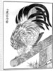 Cock by Anonymous