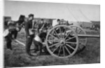 Gunners of field artillery drilling with a 12 pounder by Gregory & Co