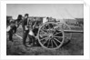Gunners of field artillery drilling with a 12 pounder by Gregory & Co