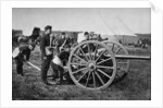 Gunners of field artillery drilling with a 12 pounder by Gregory & Co